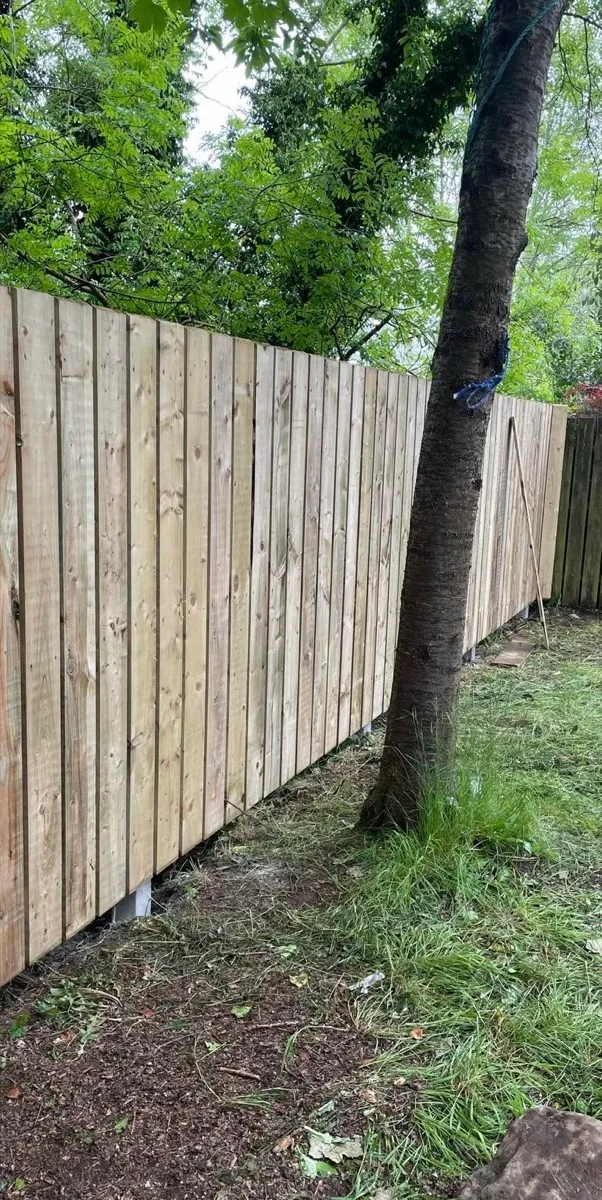Close-up of a finished timber fence panel