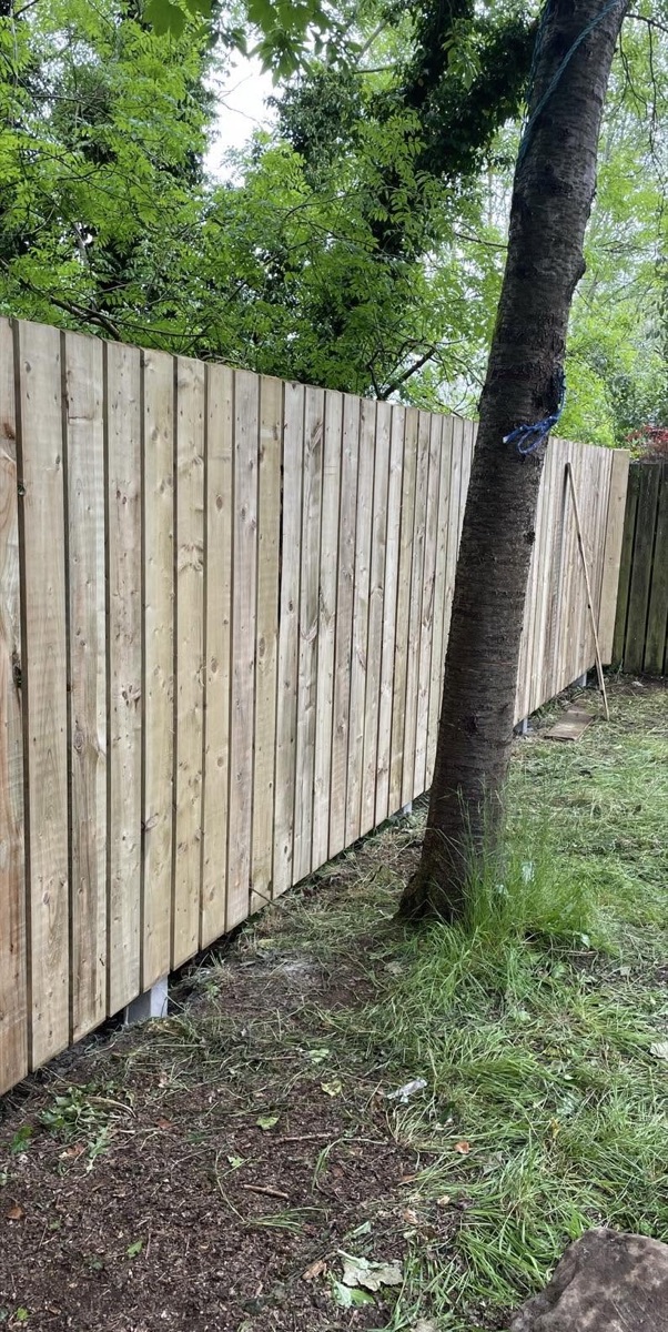 Close-up of a finished timber fence panel